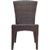 New Castle Wicker Side Chair (Set Of 2) - Black/Brown - Safavieh