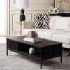 Lylia 2 Door Coffee Table - Safavieh 2 Lylia 2 Door Coffee Table - Safavieh -Heaco GUEST 358fb973 9ff8 48c2 8111 820e643bd698