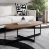 Digby Coffee Table - Natural Brown/Black - Safavieh
