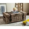 Navarro Rattan Coffee Table Trunk - Safavieh -Heaco GUEST bfad3bcb a200 46fd bde7 2ad1ed144b6c