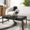 Alexander Coffee Table - Safavieh