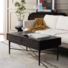 Pierre 2 Drawer Coffee Table - Safavieh -Heaco GUEST f22cb04c 2ffe 43a6 866d 00f445d3a511