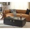 Zoe Trunk/Coffee Table - Safavieh